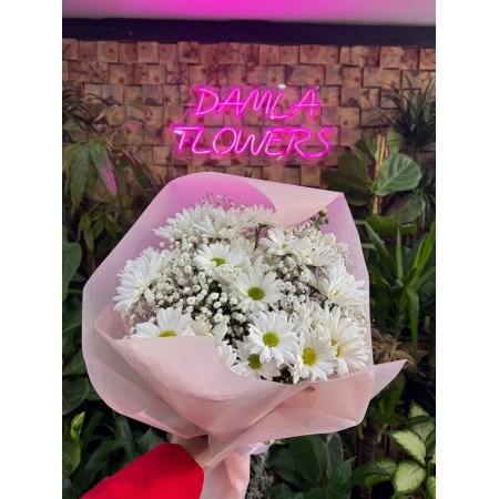 PEMBE PAKET BEYAZ PAPATYA
